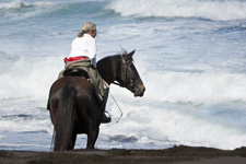 Portugal-Azores-Faial Island Trail